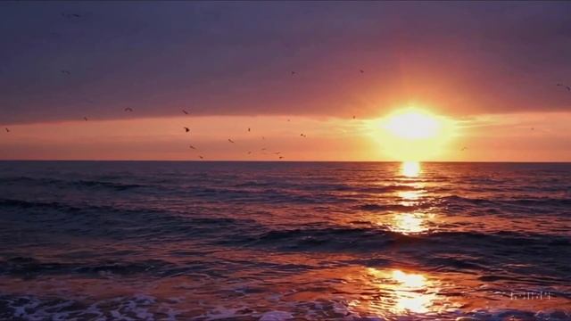 лучшая русская музыка🤩 Top Music🔥 Russische Musik💫 Russische Musik💜 смотреть онлайн