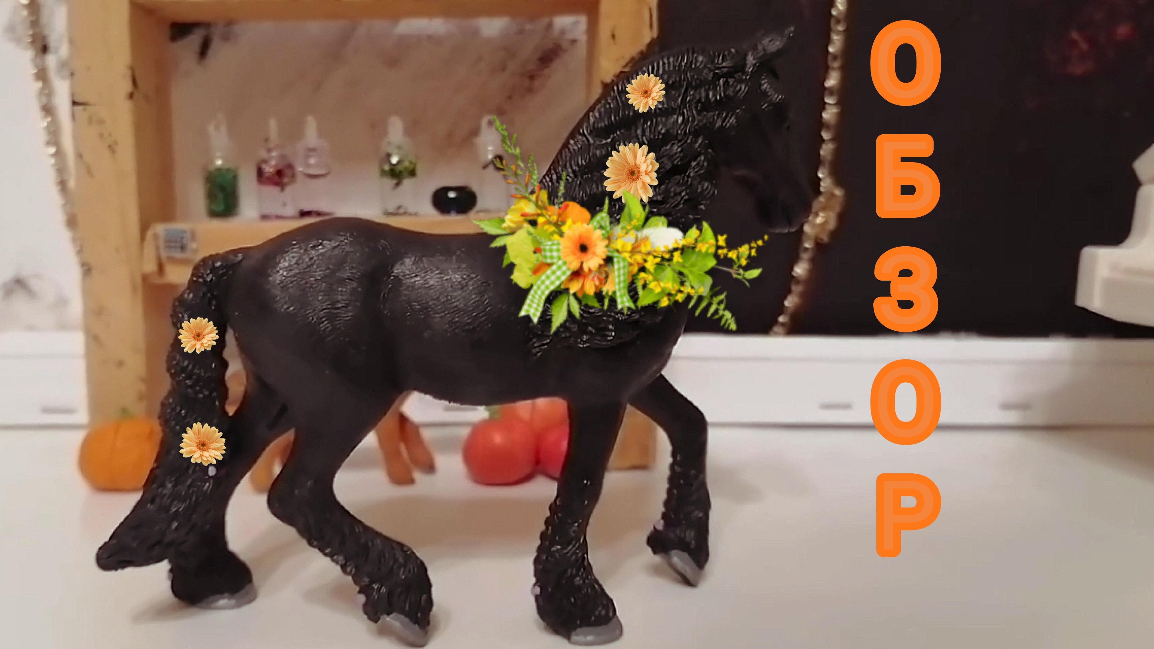 Модельный обзор фризкой 2019