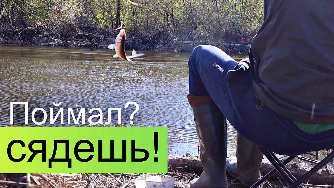 Новые законы о рыбалке в 2022 году. За что еще можно получить штраф на рыбалке в 2022 году? смотреть онлайн