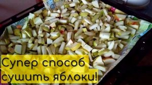 Супер способ сушить яблоки в газовой духовке!