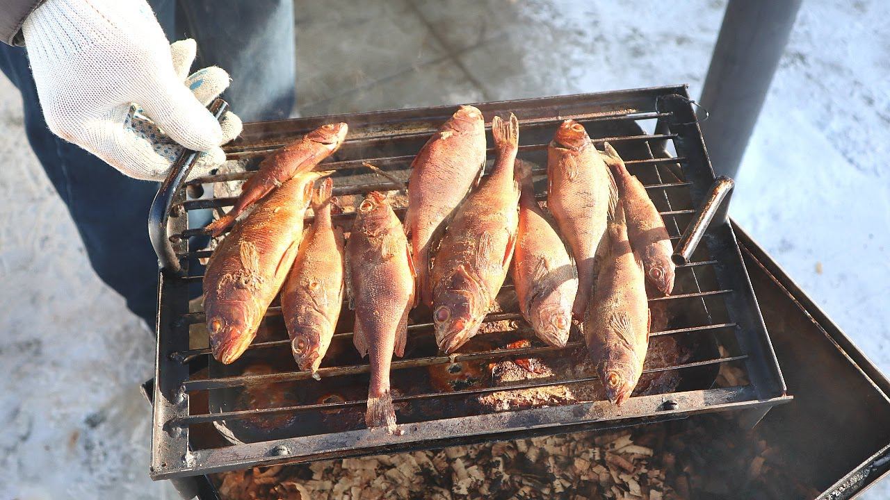 Копченый окунь на вишне! Самый вкусный окунь который я ела. Как закоптить окуня в коптильне? смотреть онлайн