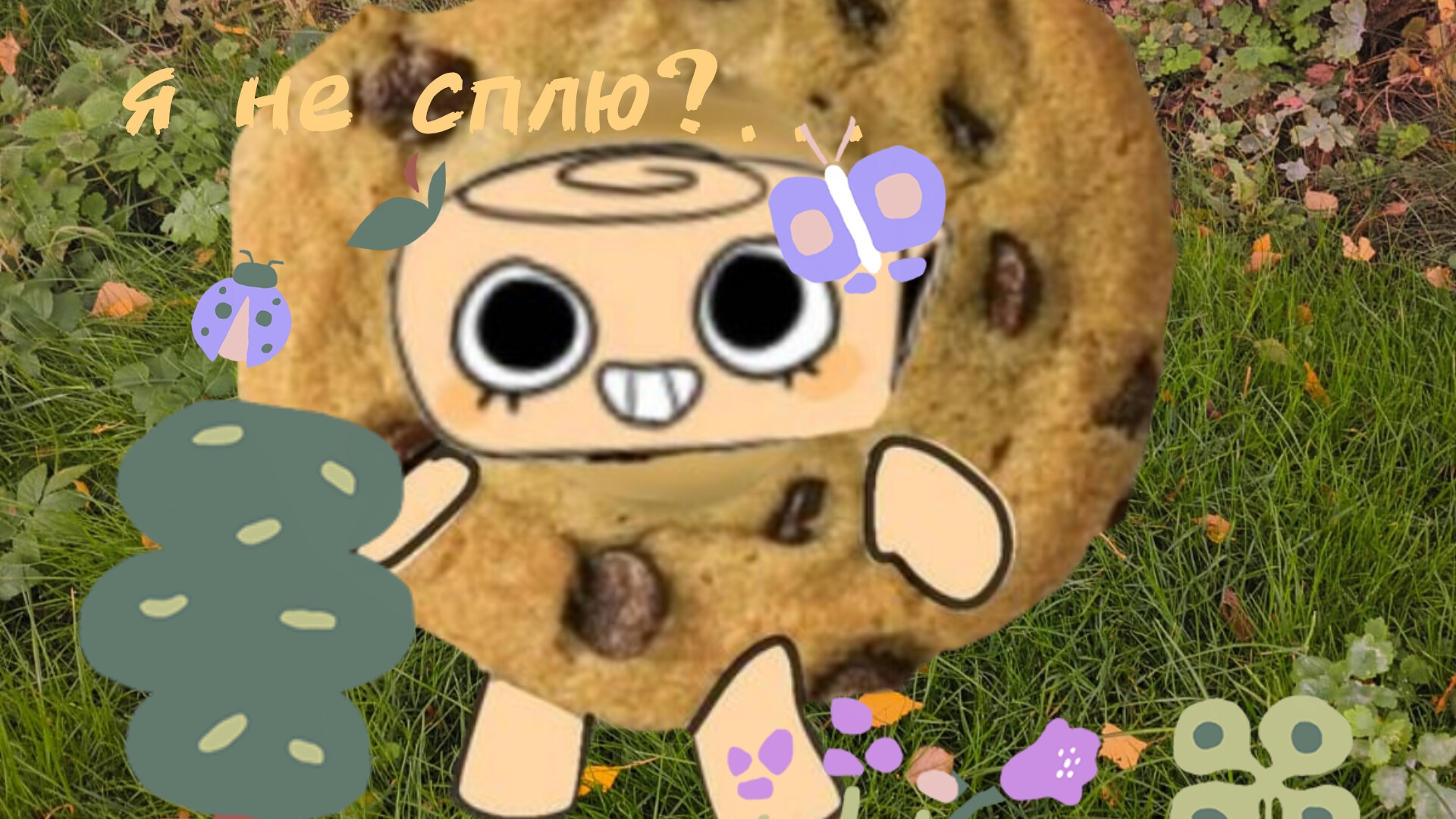 подборка по МД