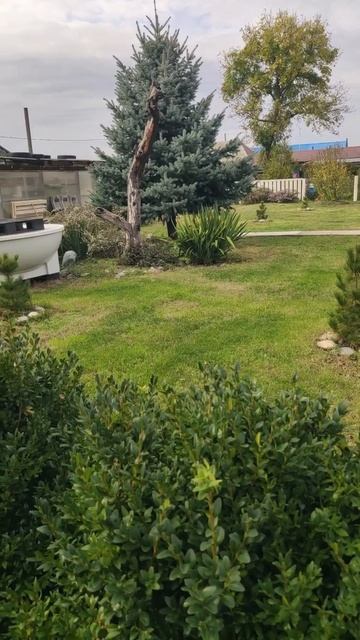 Не пройдет казалось лето...