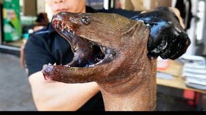 опасные мурены