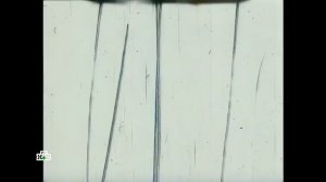 Следствие вели 2025 | Мертвая петля | #1080 HD