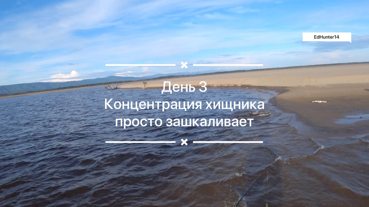 Концентрация Хищника просто зашкаливает! Кальвица Саха Якутия 2025 Наглядное пособие День 3