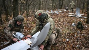 Удар «Молнии» уничтожил опорный пункт ВСУ. Лучшее видео из зоны СВО