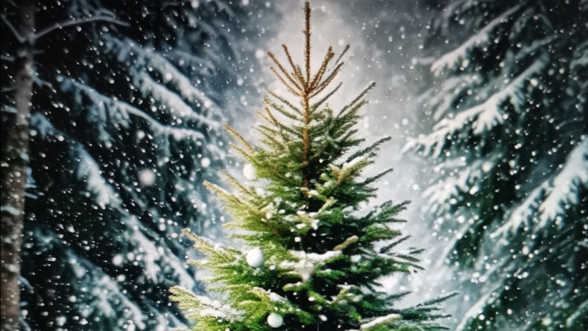 В лесу родилась елочка смотреть онлайн