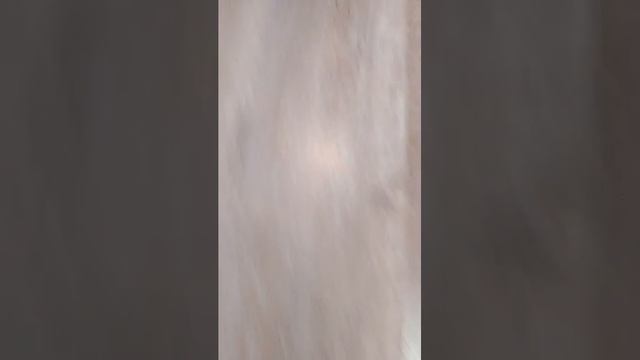 бутылочка чек