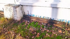 Яркие подтеки краски