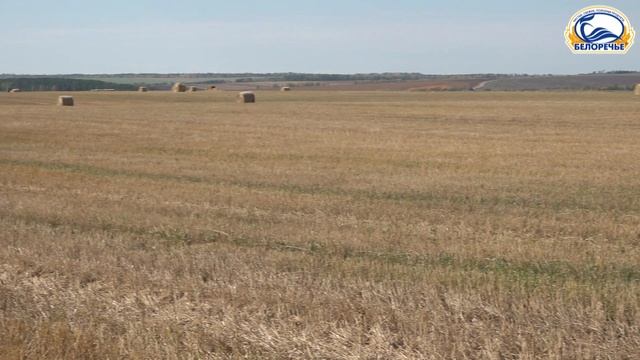 Видеопоздравление с Днем рождения фабрики 18 декабря 2025г.