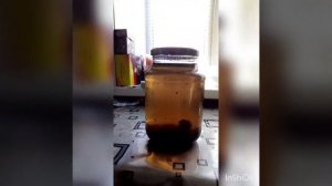 Домашний коньяк на обжаренной коре дуба.