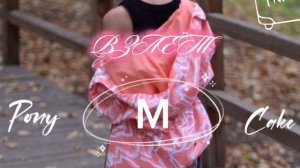 ponycake/пони кейк:ВЗЛЁТ