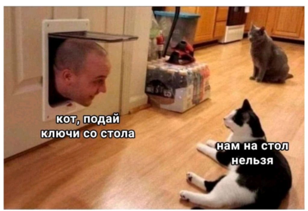 Управляю машиной.