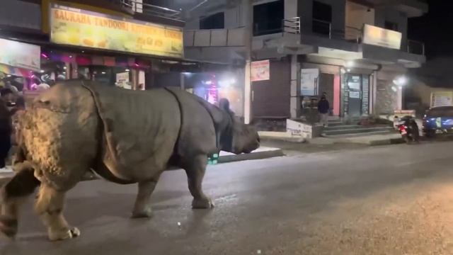 "Не бойтесь поношения от людей, и злословия их не страшитесь.." / Исаия 51:7 смотреть онлайн