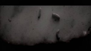 Молоко, телек почини! Страшные истории на ночь 🫣🫣🫣