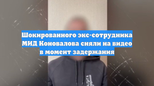 ФСБ показала видео задержания экс-сотрудника МИД РФ за госизмену