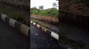 Малайзия. Город Ипо.