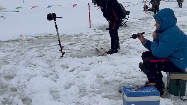 Поимки форели смотреть онлайн