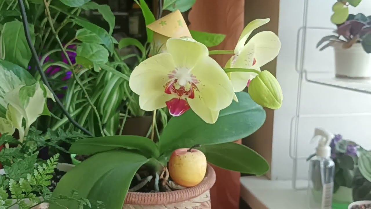 Для начала. Обзорная половина. смотреть онлайн