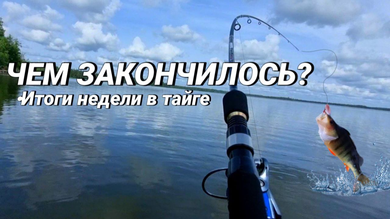 Как ЛОВИТСЯ ОКУНЬ в Карелии | Итоги НЕДЕЛИ в тайге: уха, трофеи, и разговоры по душам смотреть онлайн