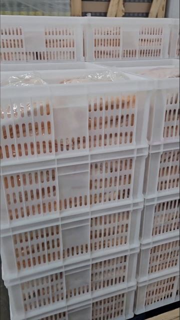 Работаем.👍🥗🎄 #нг2026 #нг #рецепт #заготовки смотреть онлайн