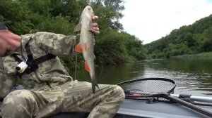 ПРОСТОЙ СПОСОБ НАЛОВИТЬ РАЗНОЙ РЫБЫ НА СПИННИНГ! Рыбалка 2025.