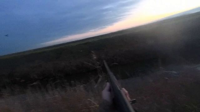 Охота на утку