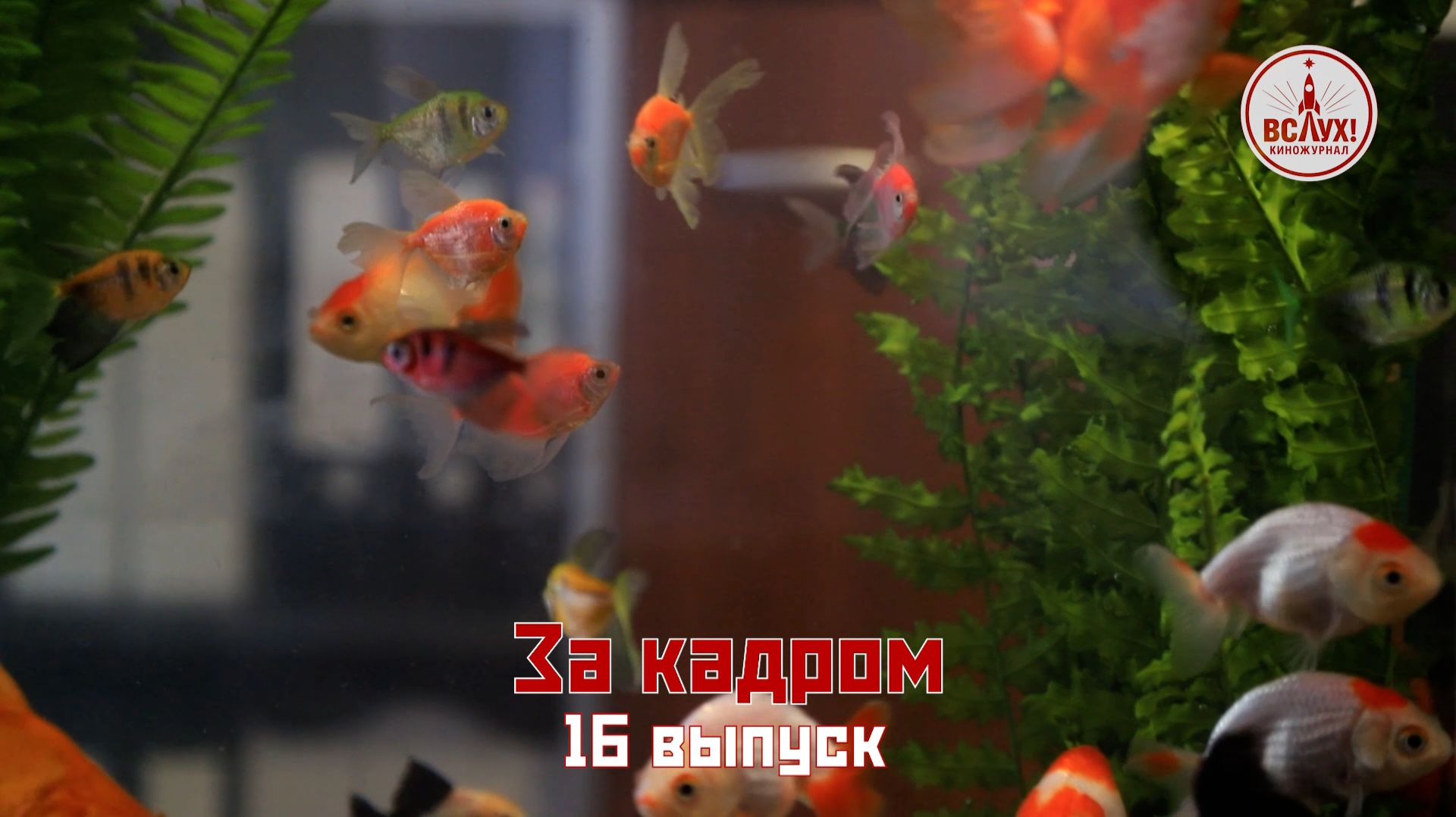 На съёмках шестнадцатого выпуска победного сезона киножурнала «ВСЛУХ!» смотреть онлайн