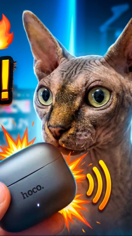 New топ с AI переводчиком Hoco EQ27 смотреть онлайн