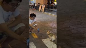 МИР ВИДЕО ДЛЯ ГЛУХИХ 26 ДЕКАБРЯ 1ЧАСТЬ 👍