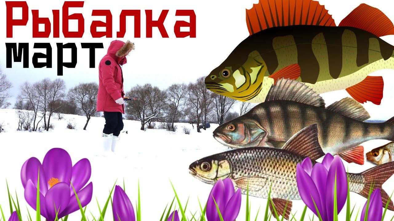 Как ловить рыбу на рыбалке в марте? Как ведет себя рыба в марте? смотреть онлайн