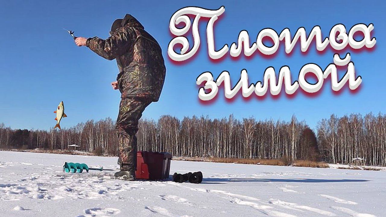 7 советов по ловле плотвы зимой от эксперта. Как правильно ловить плотву зимой со льда? смотреть онлайн