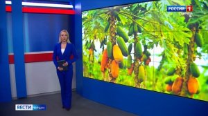 ВЕСТИ КРЫМ: выпуск 26.12.2025 21:10