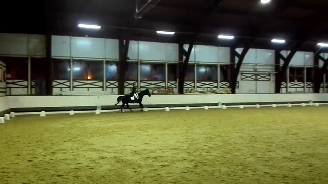 Видео Ла Винчи полное, чуть спешит смотреть онлайн