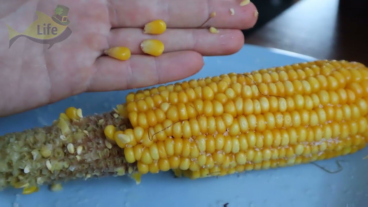 Три самых уловистых наживки на карпа летом и осенью. На что лучше всего клюет карп? смотреть онлайн