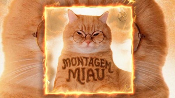 Montagem Miau (Lenar, Leonardo P)