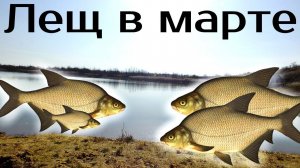Где искать леща в марте? Где стоит лещ в марте? Где ловить леща в марте?