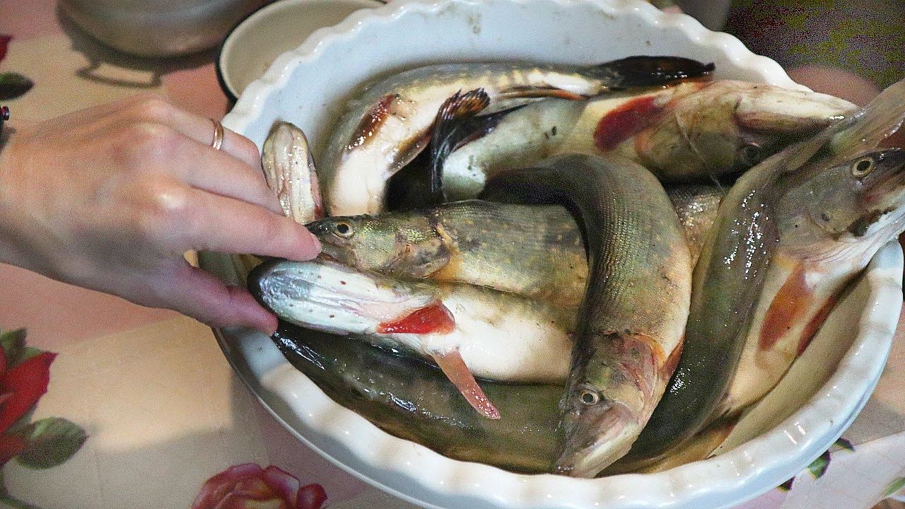 Наконец-то ловлю щуку по многу в октябре-ноябре. Золотые советы по ловле зубастой которые работают. смотреть онлайн