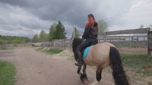 Документальный фильм "О лошадях и людях"