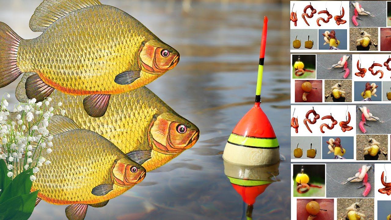 Когда начинает клевать карась весной по открытой воде? Как и на что ловить карася в марте апреле? смотреть онлайн