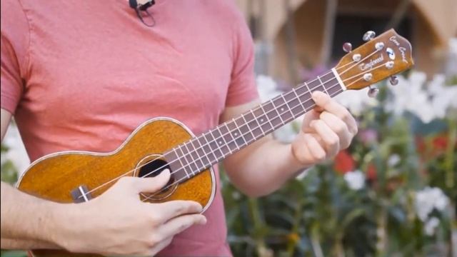 13. Техника баре на укулеле смотреть онлайн
