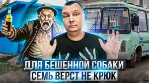 Ужасы похмелья: Для бешенной собаки семь верст не крюк!