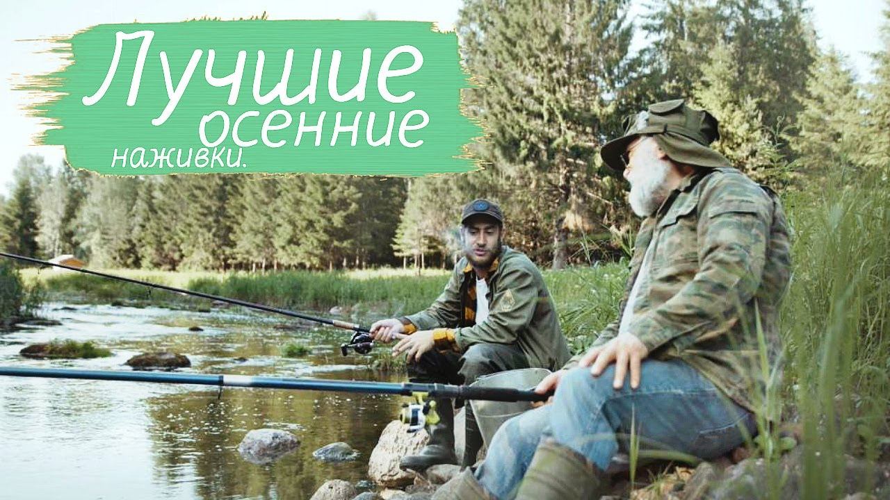 Топ 5 осенних наживок по холодной воде! Рыба на это клюет даже в лютую погоду. смотреть онлайн