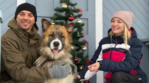 БРОСИЛИ КВАРТИРУ В ГОРОДЕ И ЖИВЁМ В СЕЛЕ/ГОТОВИМ ХОЛОДЕЦ К НОВОМУ ГОДУ И УКРАШАЕМ КРЫЛЬЦО ДОМА