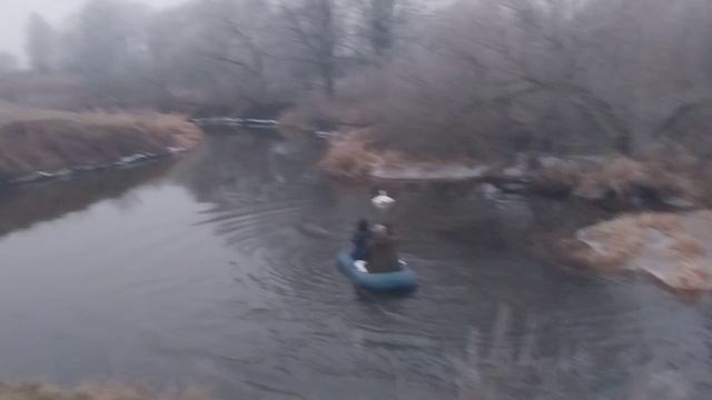 ❤️🔥Смоленские волонтеры спасли раненого лебедя смотреть онлайн