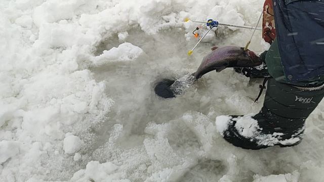 Основной водоём. На резину. смотреть онлайн