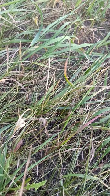 все наше время река