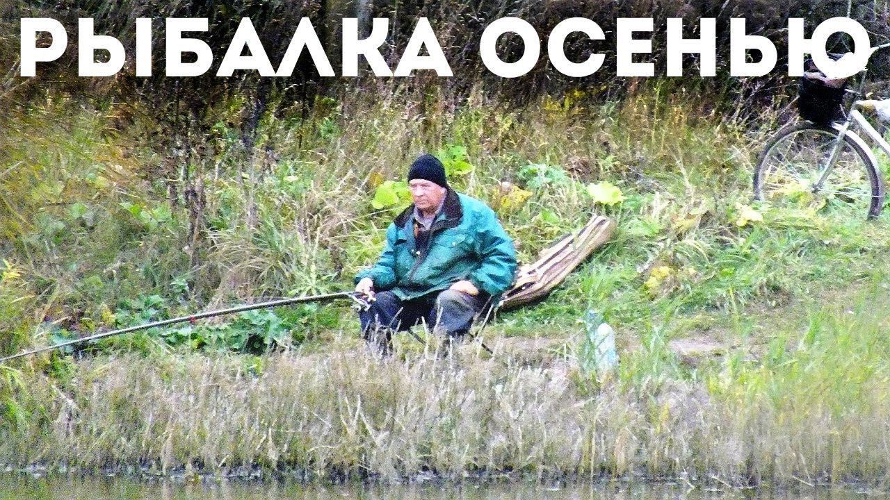 Какая рыба хорошо клюет осенью по холодной воде? Какую рыбу пойти половить осенью? смотреть онлайн
