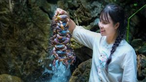 Бесплатное питание... Ловля горных крабов в одиночку в густом лесу | Линь — Вьетнам